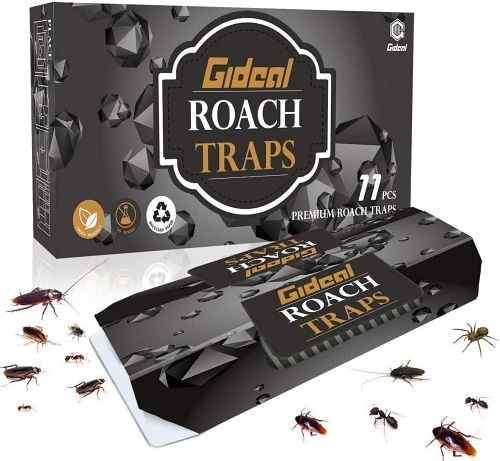 what kills roach instantly 
