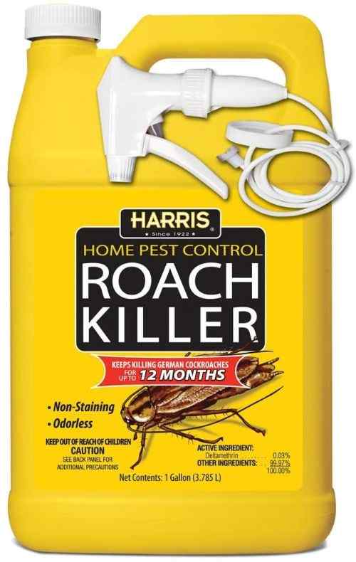 what kills cockroach instantly 