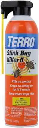 best-way-to-kill-and-get-rid-of-stink-bug-infestation-fast