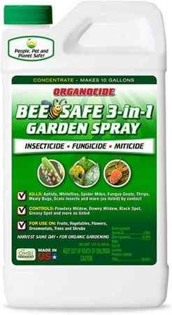 eliminate-and-kill-green-stink-bugs-in-vegetable-garden-with-lab-qt-organocide-garden-spray