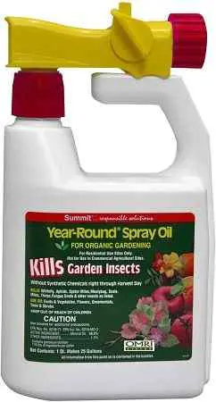 employ-beneficial-bugs-to-get-rid-of-stink-bugs-in-your-garden