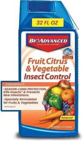 get-rid-of-stink-bugs-in-garden-with-citrus-and-vegetable-insect-control