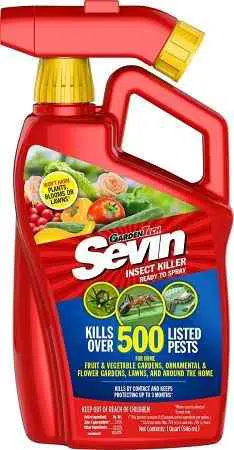 how-effective-is-sevin-to-kill-stink-bugs-on-tomato-plants