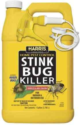 how-to-get-rid-of-stink-bugs-in-fireplace