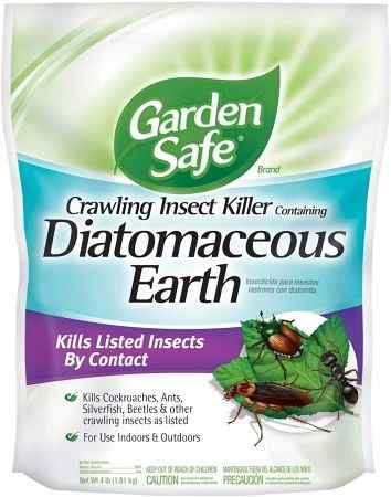 is-diatomaceous-earth-safe-to-get-rid-of-stink-bugs-on-tomato-plants