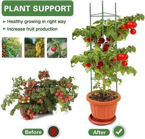 keep-off-stink-bugs-on-tomato-plants-with-tomato-cages-and-cones