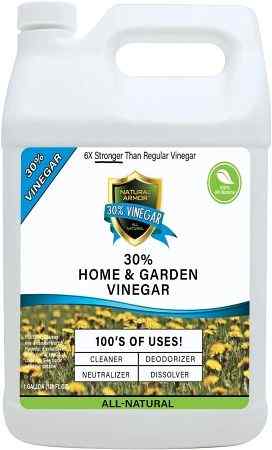 use-vinegar-to-kill-and-get-rid-of-stink-bugs-on-tomato-plants
