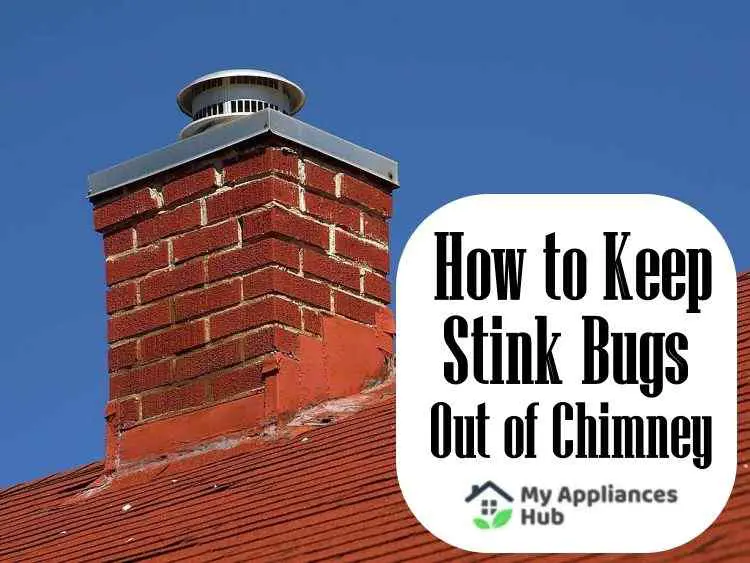 ways-to-keep-stink-bugs-out-of-chimney-and-fireplace