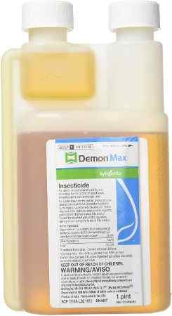 get-rid-of-stink-bugs-in-the-attic-with-demon-max-insecticide