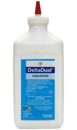 how-to-get-rid-of-stink-bugs-in-my-attic-using-bayer-delta-dust