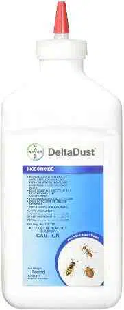 kill-and-get-rid-of-stink-bugs-in-the-attic-using-deltamethrin-dust
