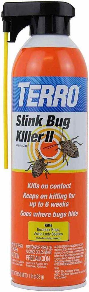 home-remedies-how-to-get-rid-of-stink-bugs