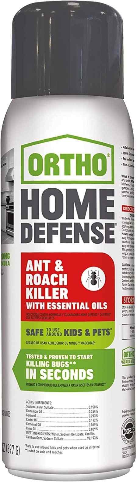 11 Best and Effective Ways to Kill Roaches Instantly at Home