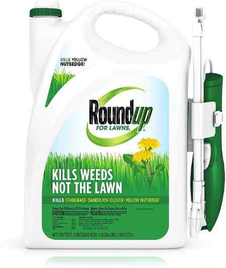 how-to-get-rid-of-weeds-without-killing-grass