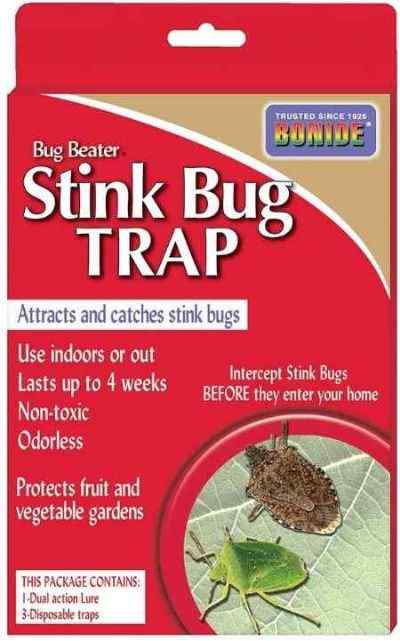 stink-bugs-removal-home-remedies