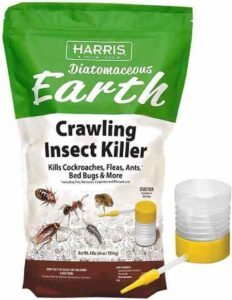 Brilliant Fascinating Ways to Kill and Get Rid of Roaches in Car Fast