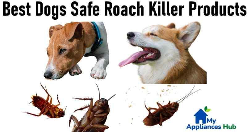 best-roach-killer-safe-for-dogs