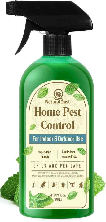 insect-killer-for-lawns
