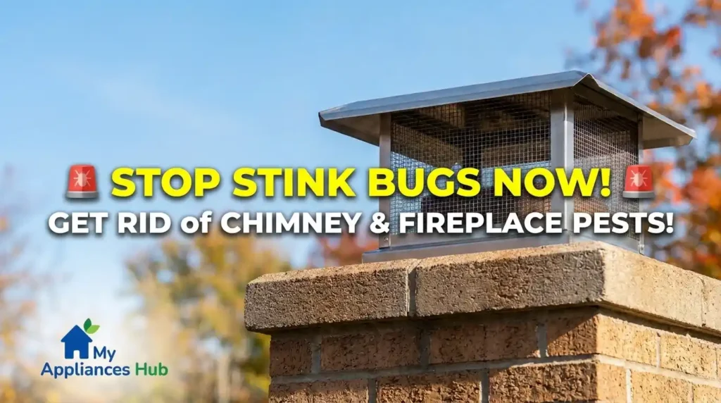 Promotional social media banner featuring a stainless steel chimney cap and bold text reading Stop Stink Bugs Now.