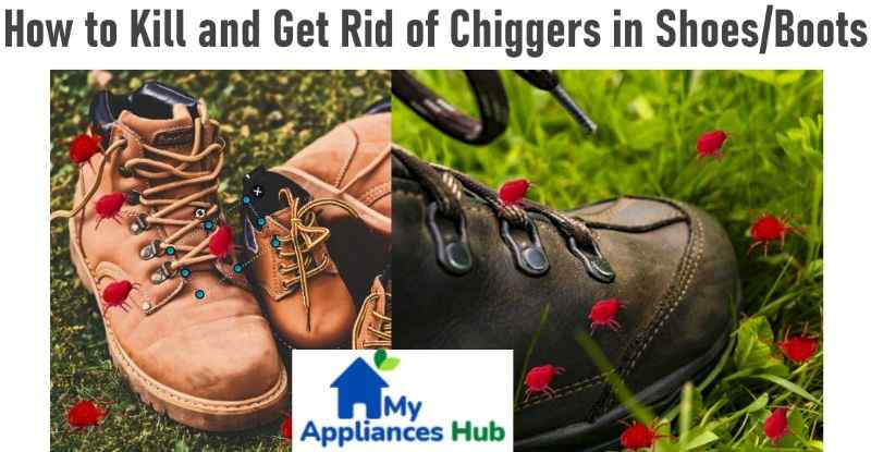 can-chiggers-live-in-your-shoes-or-boots