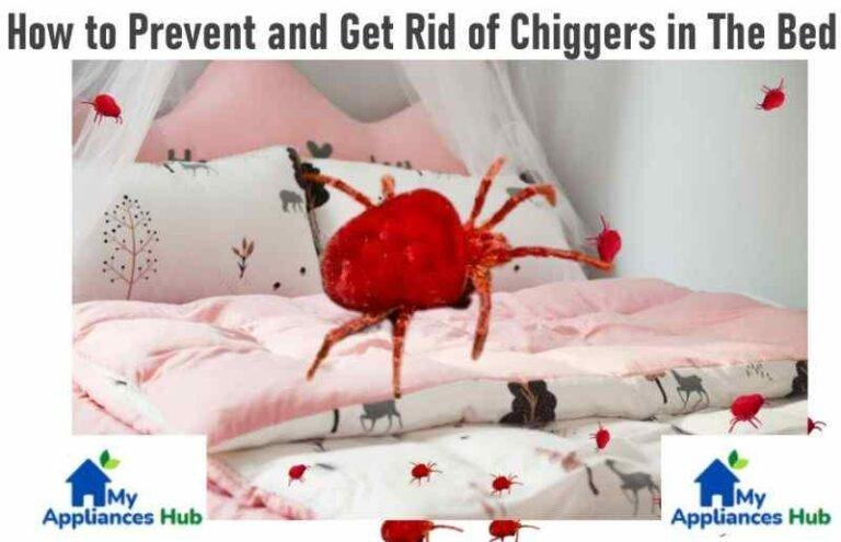 how-to-prevent-and-get-rid-of-chiggers-in-the-bed