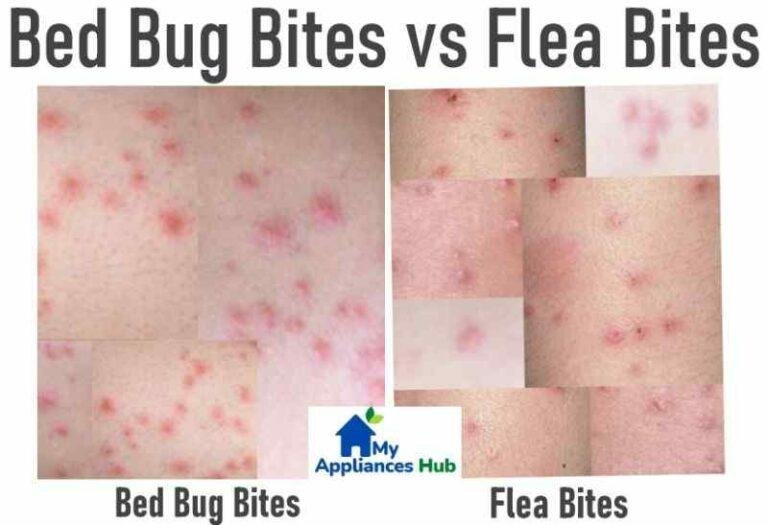 Flea Vs Bed Bug Bites Pictures 768x525 