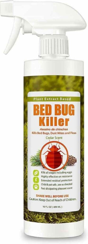 how-to-get-rid-of-bed-bugs-and-fleas