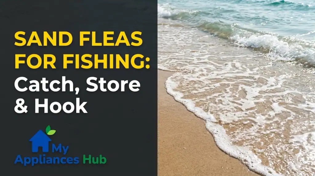 Best Ways to Catch, Store, and Hook Sand Fleas for Fishing Bait sand fleas fishing social promo banner